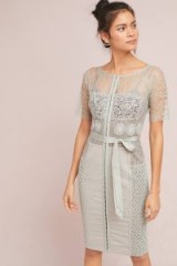 Byron Lars Carissima Sheath Dress / feminine occasion wear / sheer lace dresses