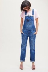 Anthropologie Meadowland Dungarees ~ spring denim