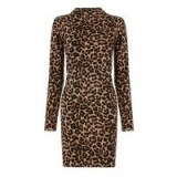 WAREHOUSE ANIMAL PRINT STRAIGHT DRESS in BROWN / animal prints