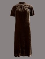 AUTOGRAPH Velvet Short Sleeve Shift Dress in Cocoa / dark brown Autumn dresses