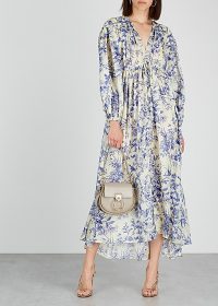 ZIMMERMANN Verity floral-print silk maxi dress ~ blue and white bird prints