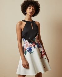 TED BAKER TILDDA Jamboree skater dress / sleeveless fit and flare dresses