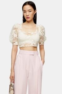 Topshop Cream Embroidered Mesh Floral Top | sheer puff sleeve crop tops