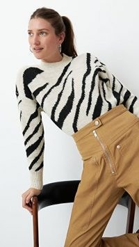 Isabel Marant Etoile Genna Pullover / zebra stripes