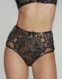 AGENT PROVOCATEUR Taisia High Waisted Brief ~ glamorous full briefs ~ lace and tulle lingerie