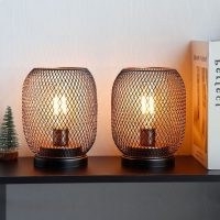 Borough Wharf Kaye 2pc Novelty Lamp (Set of 2) – Wayfair – soft warm white light